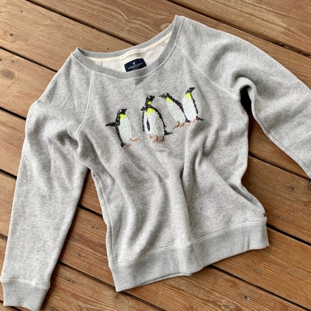 AE sweatshirt